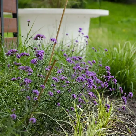 Fonte 3* 阿尔塔泰尔梅